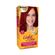 Coloracao-Salon-Line-Light-Color-Profissional-66.46-Vermelho-Cereja
